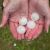 Rolling Hills Hail Damage by M & M Developers Inc.